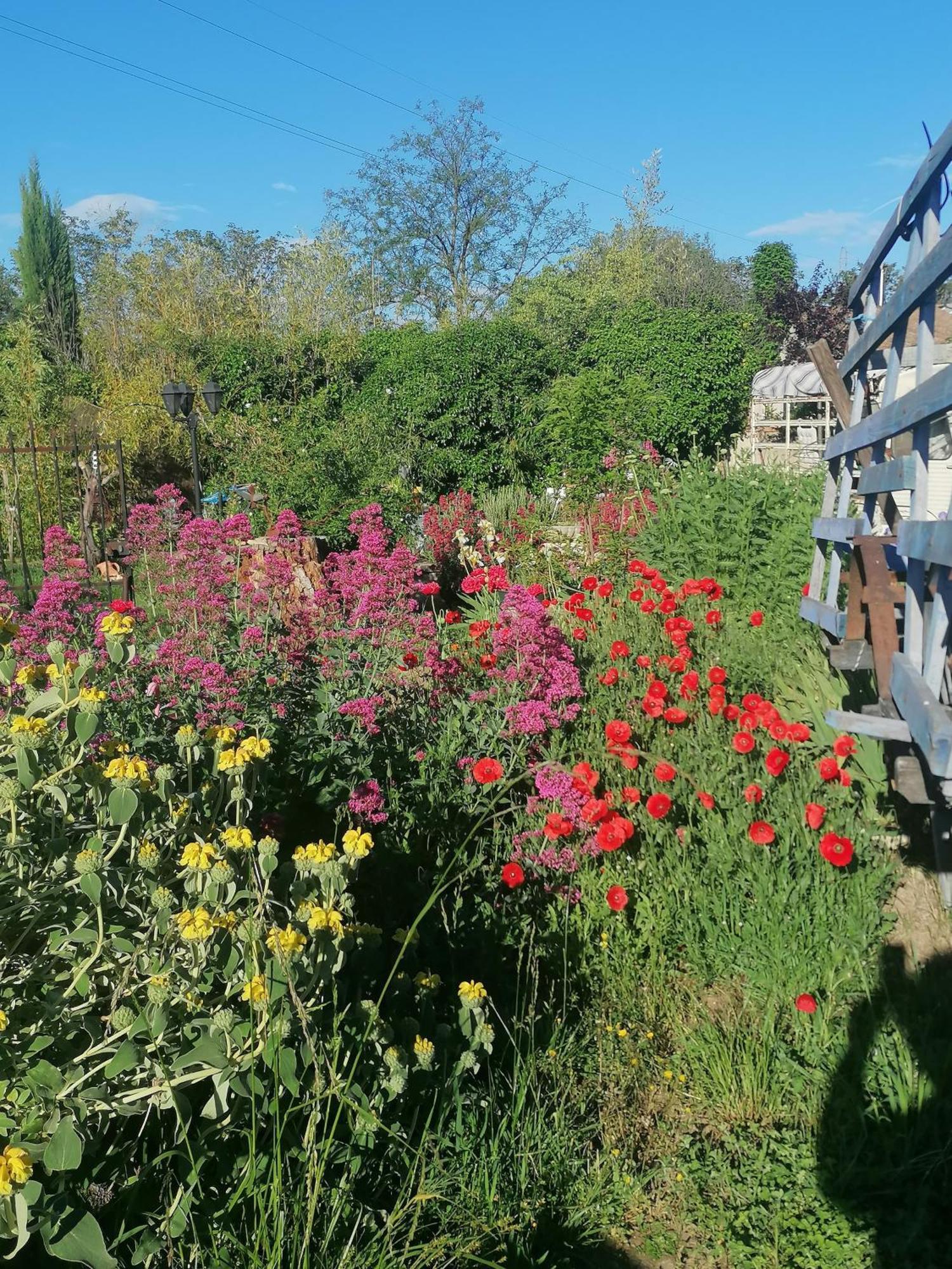 La Fee Viviane Et Michel L'Enchanteur Robion en Luberon Exterior foto