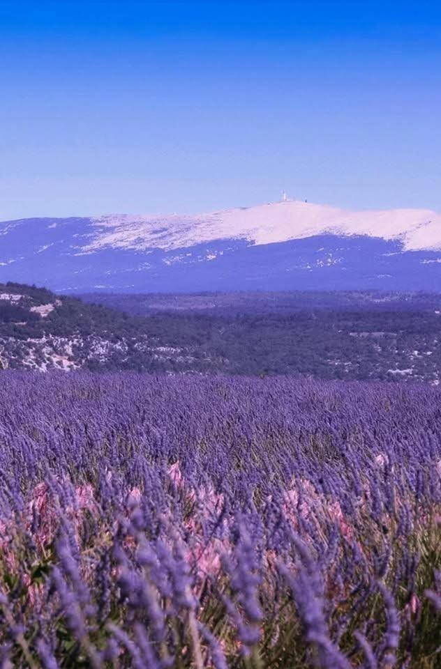 La Fee Viviane Et Michel L'Enchanteur Robion en Luberon Exterior foto